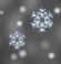 Chance Snow Chance Snow